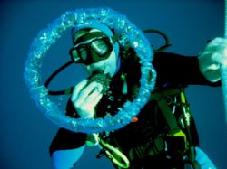 Decompression stops don´t have to be boring! This picture... by Steven Withofs 